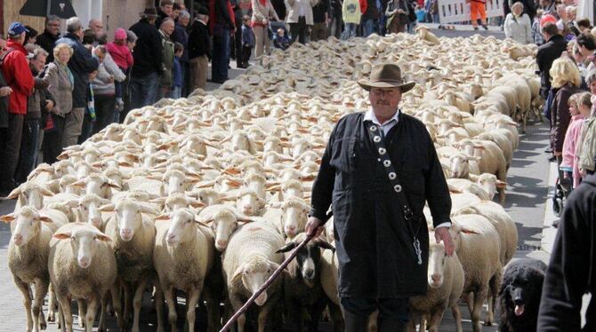 Superevent Münsingen Mai 2012