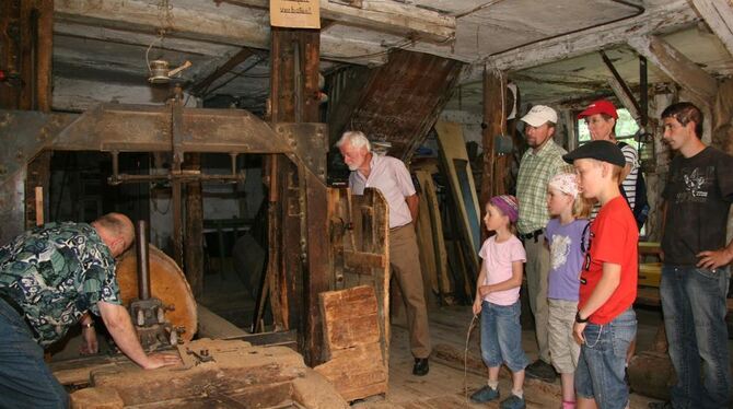 Zum Mühlentag zeigte Otto Flad (links) den Besuchern sein Sägewerk. FOTO: LEIPPERT