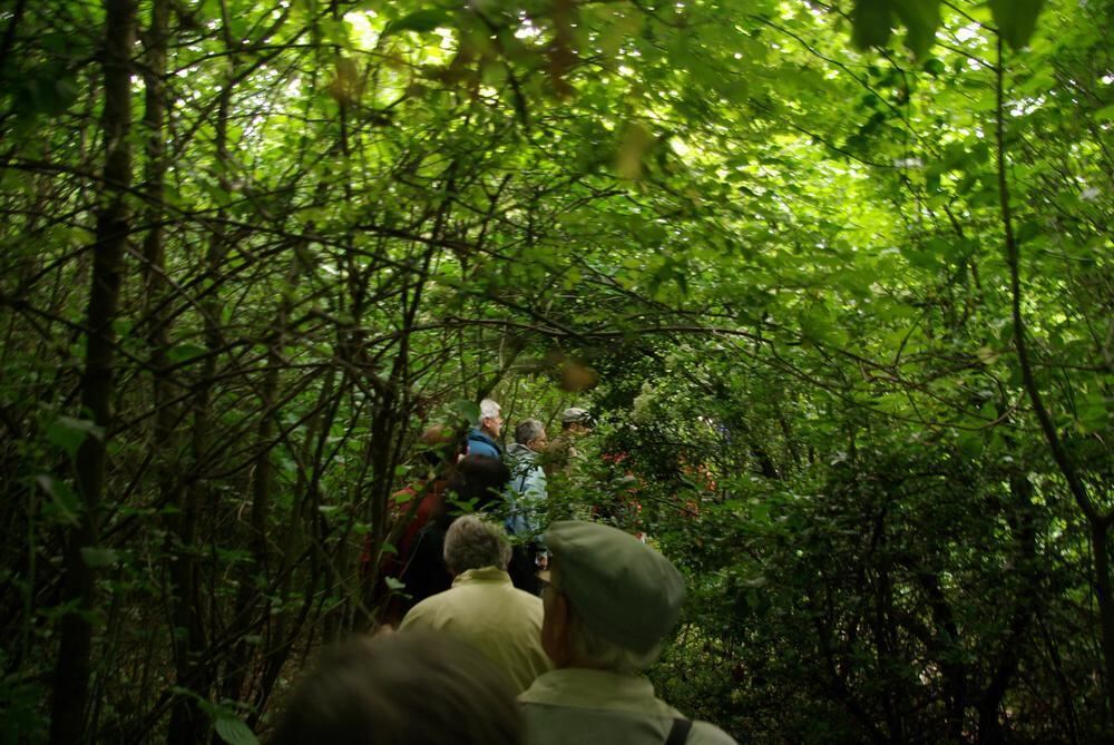 Rosenpark in Mössingen
