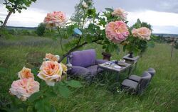 Rosenpark in Mössingen