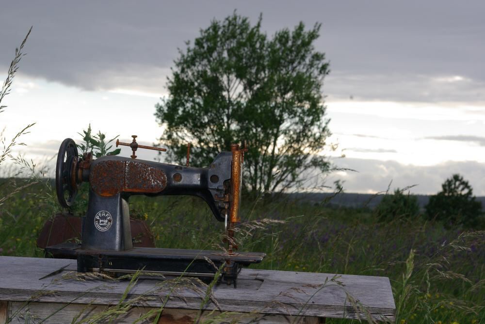 Rosenpark in Mössingen