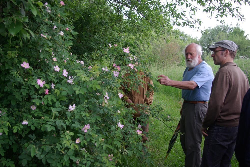 Rosenpark in Mössingen