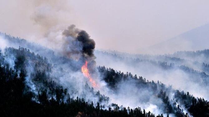 Im Bundesstaat Colorado hat ein Waldbrand bereits eine Fläche von mehr als 200 Quadratkilometern zerstört. Foto: Bob Pearson