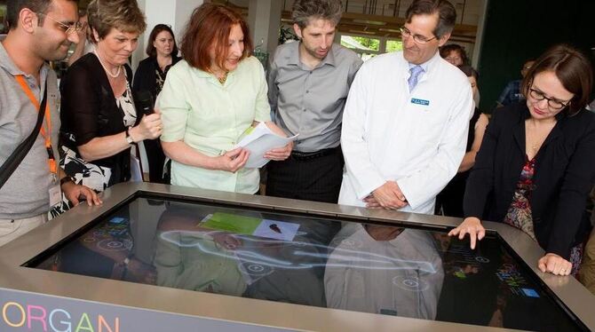 Einsichten am Touchscreen: (von links) Ali Temur, Dr. Marita Völker-Alber und Professorin Elisabeth Pott (alle von der Bundeszen