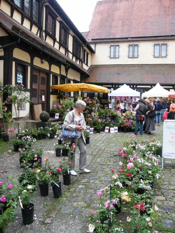 Rosenfest Kloster Bebenhausen 2012