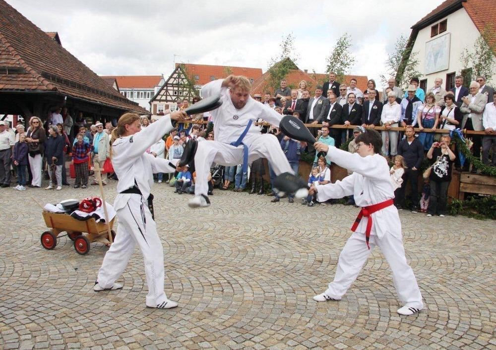 Stadtfest und Heimatfest Metzingen 2012