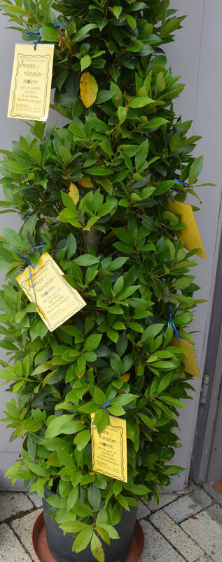 Dorffest Neckartenzlingen Juli 2012