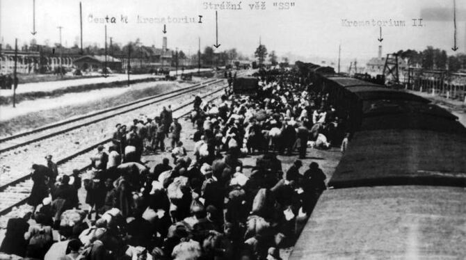 Ein Häftlingstransport aus Ungarn trifft im Lager Auschwitz ein (undatierte Aufnahme). Foto: dpa/Archiv