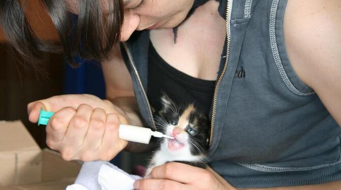 Pflegerin Sabine Klein beim Füttern des ausgesetzten Katzenbabys. FOTO: PR