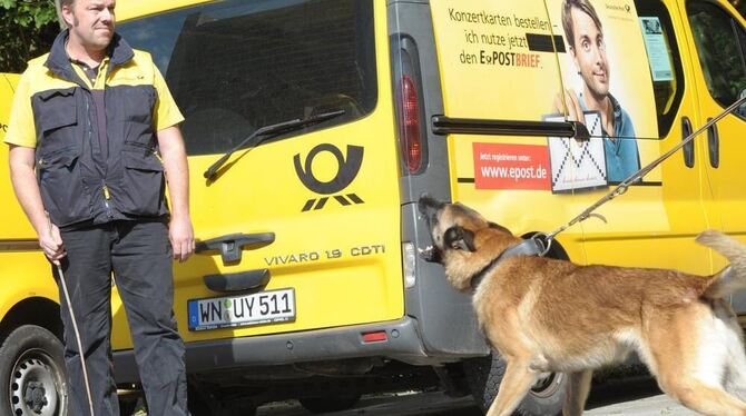 Szene aus dem Hundetraining für Postboten in Backnang.