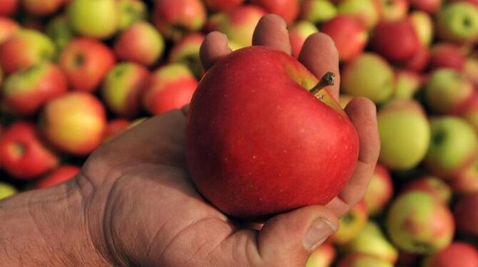 Gesund und beliebt: In Deutschland stehen auf 32 000 Hektar Anbaufläche Apfelbäume. Foto: Patrick Seeger