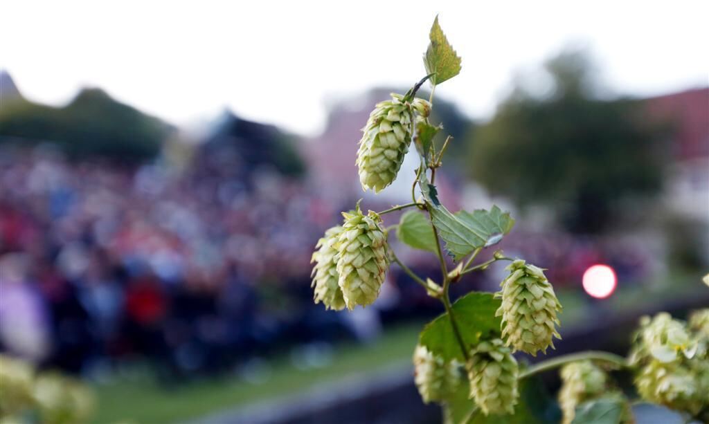 Klosterbräu-Festspiele Zwiefalten 2012