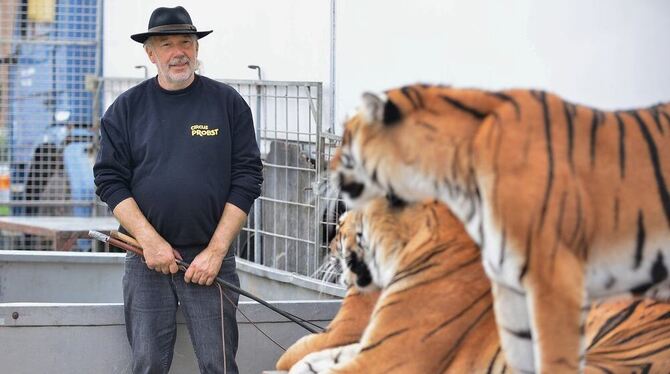»Das sind keine Streicheltiger«, sagt Tierlehrer Dieter Dittmann - und wehrt sich gegen Vorwürfe militanter Tierschützer. FOTO:
