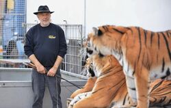 »Das sind keine Streicheltiger«, sagt Tierlehrer Dieter Dittmann - und wehrt sich gegen Vorwürfe militanter Tierschützer. FOTO: