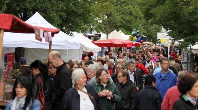 Biosphärenmarkt Münsingen 2012