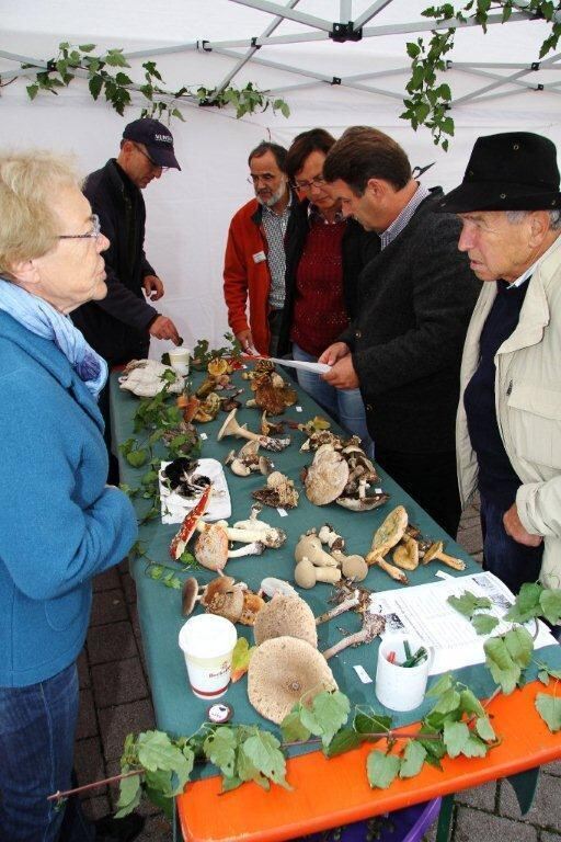 Biosphärenmarkt Münsingen 2012