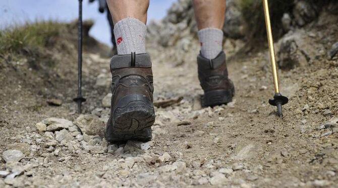 Ein Wanderer hat in den Alpen notgedrungen einen 15-stündigen Fußmarsch absolviert, nachdem er den Anschluss an seine Gruppe
