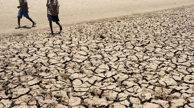 Dürre im Norden von Kenia:  Die Weltbank warnt eindringlich vor den drastischen Folgen der Erderwärmung. Foto: Stephen Morris