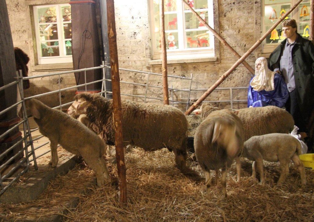 Weihnachtsmarkt Münsingen.