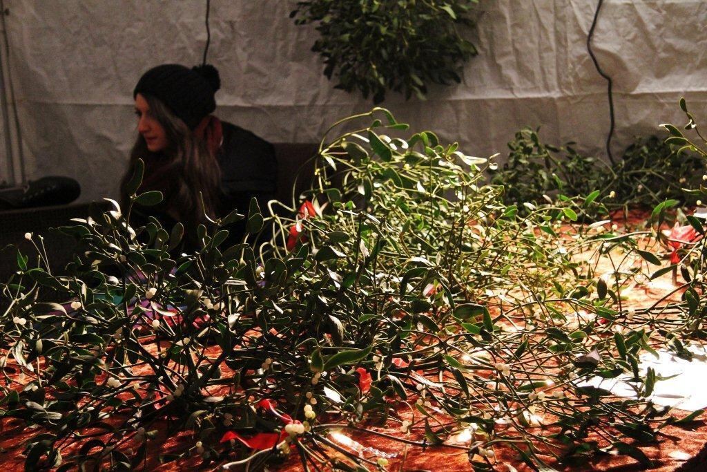 Weihnachtsmarkt Münsingen.