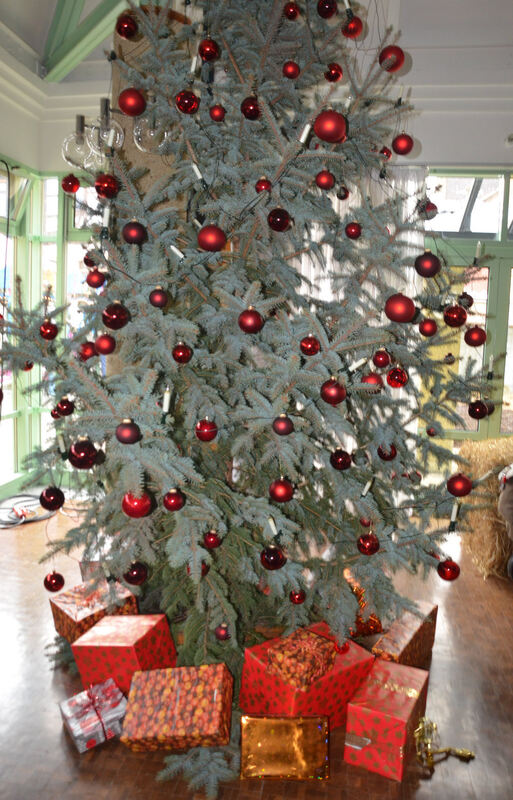 Weihnachtsmarkt Dettingen