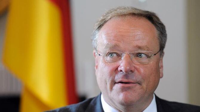 FDP-Vorstandsmitglied Dirk Niebel hat seiner Partei empfohlen, sich gegen ein neues NPD-Verbotsverfahren auszusprechen. Foto: