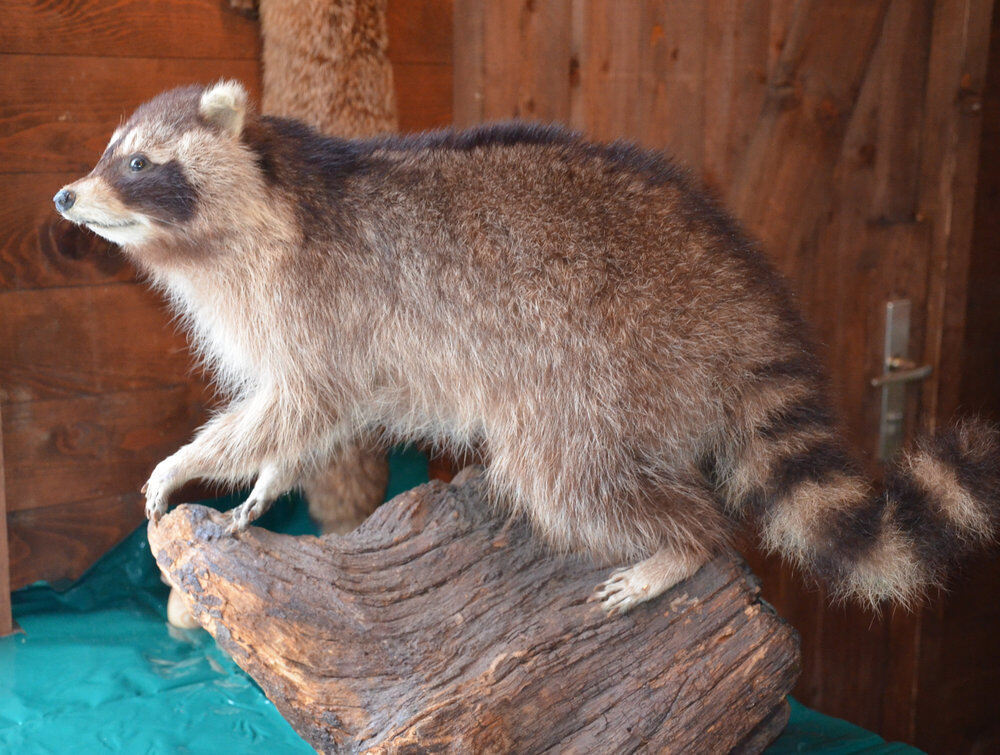 Weihnachtsmarkt Bad Urach 2012