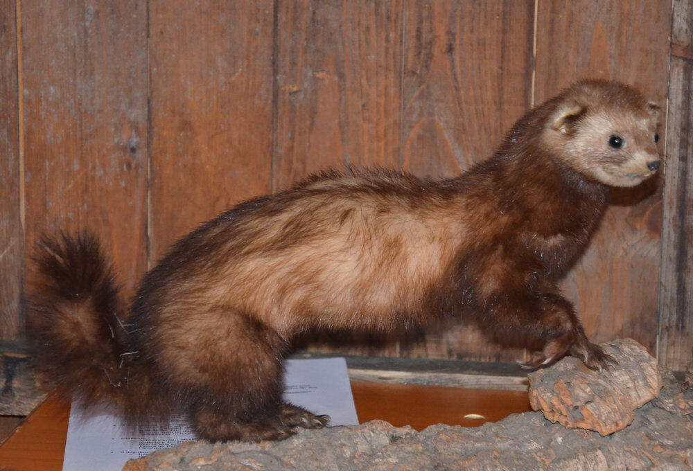 Weihnachtsmarkt Bad Urach 2012