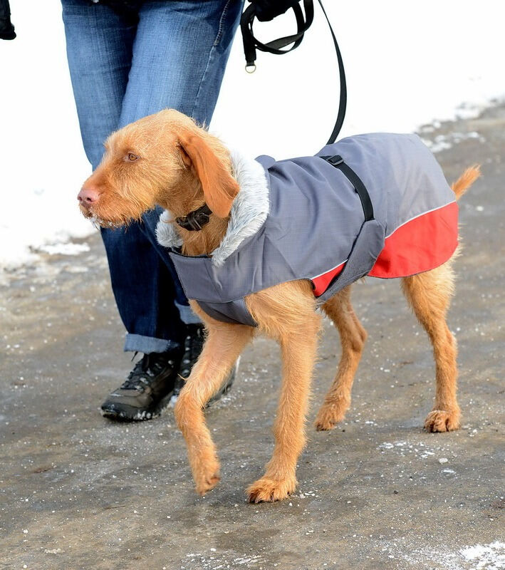 Nikolauslauf Tübingen 2012