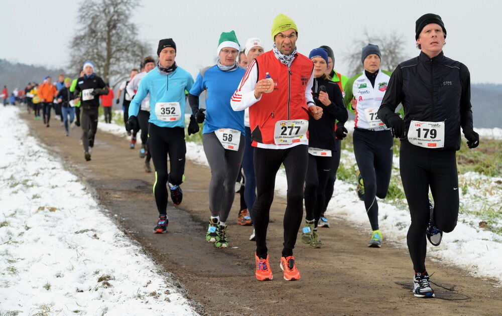 Nikolauslauf Tübingen 2012