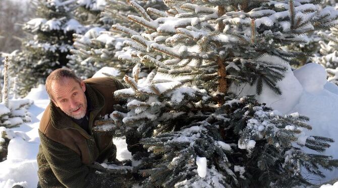 Bei Jürgen Goller in St. Johann wird der Christbaumkauf zum Familienereignis - besonders im Schnee. FOTO: NIETHAMMER