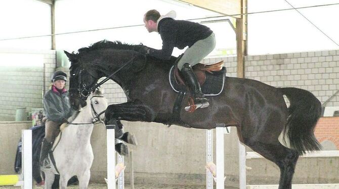 In seinem Betrieb in Altheim bildet Michael Jung vielversprechende Sportpferde aus. Im Sommer holte der Vielseitigkeitsreiter Gold bei den Olympischen Spielen. FOTOS: SCHRADE In seinem Betrieb in Altheim bildet Michael Jung vielversprechende Sportpferde aus. Im Sommer holte der Vielseitigkeitsreiter Gold bei den Olympischen Spielen. FOTOS: SCHRADE