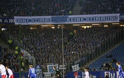 Schalke-Fans schweigen zu Beginn eines Bundesligaspiels. Foto: Christian Charisius