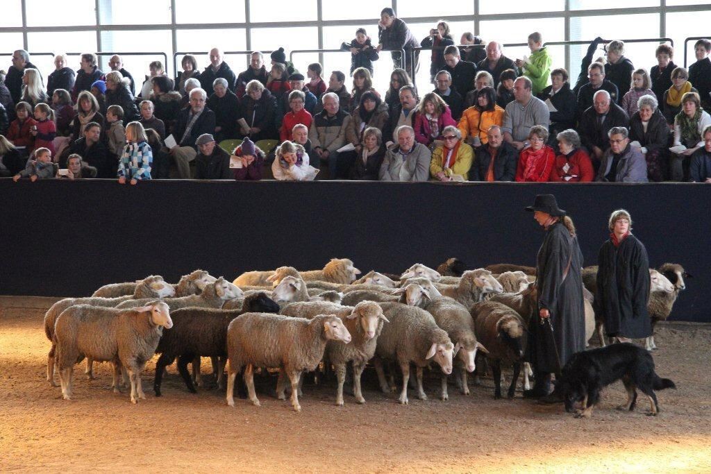 Krippenfestspiel Marbach 2012