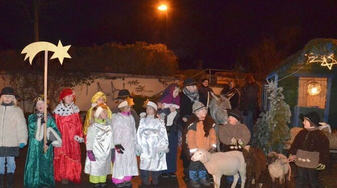 Zur Krippe her kommet im Glemser Stall: Kinder (und Tiere) spielen die Weihnachtsgeschichte. FOTO: SANDER Zur Krippe her kommet im Glemser Stall: Kinder (und Tiere) spielen die Weihnachtsgeschichte. FOTO: SANDER