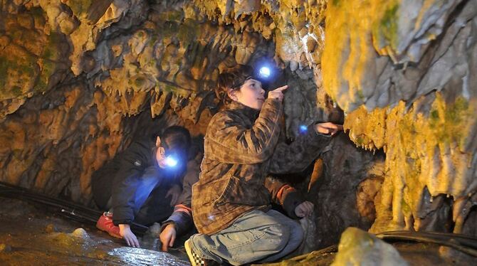 In der Bärenhöhle gibt es für die Besucher vieles zu entdecken, besonders Kinder sind stets fasziniert von den Kammern und Gängen in der Unterwelt. Warum die Besucherzahl in diesem Jahr derart eingebrochen ist, ist noch nicht klar. 	GEA-ARCHIVFOTO: PR