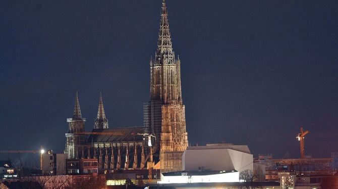 Das Ulmer Münster. FOTO: DPA