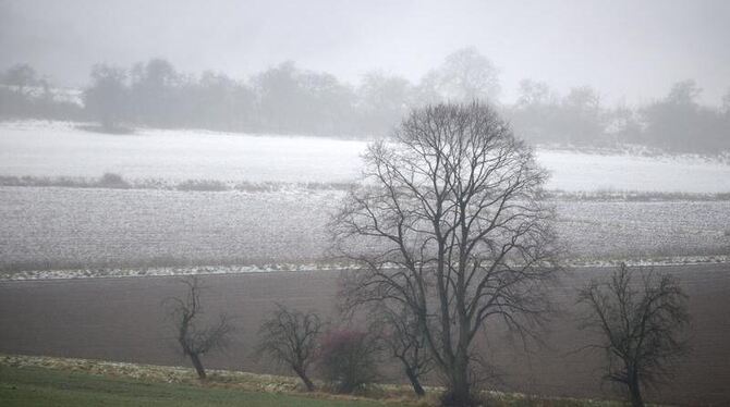 Die Schneefallgrenze ist auf den Feldern bei Felsberg in Hessen gut zu erkennen. Foto: Uwe Zucchi
