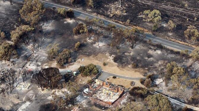 Die Buschfeuer in Tasmanien hinterlassen ein Bild der Zerstörung. Foto: Chris Kidd 