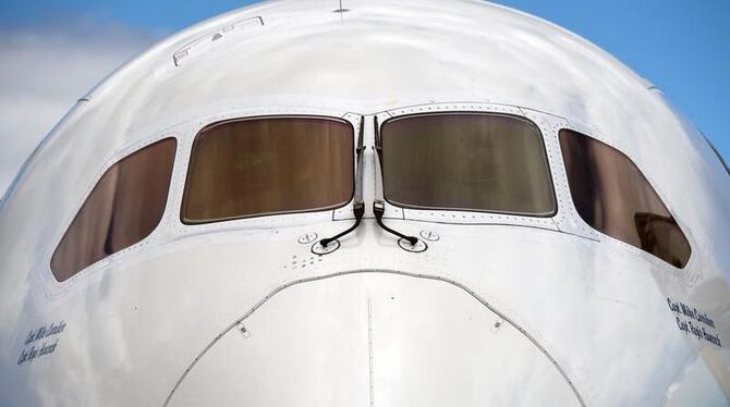 Die Pannenserie von Boeings Langstreckenjet 787 »Dreamliner« reißt nicht ab. Foto: Robert Schlesinger 