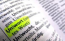 Das «Unwort des Jahres 2012» wollen Sprachforscher in Darmstadt bekanntgeben. Foto: Stephan Jansen