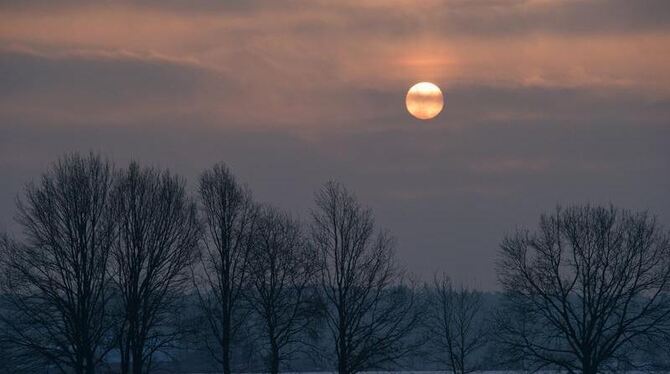 Wintermorgen in Brandenburg: Die Sonne geht an einem eisigen Morgen über einem Feld in Sieversdorf auf. Foto: Patrick Pleul