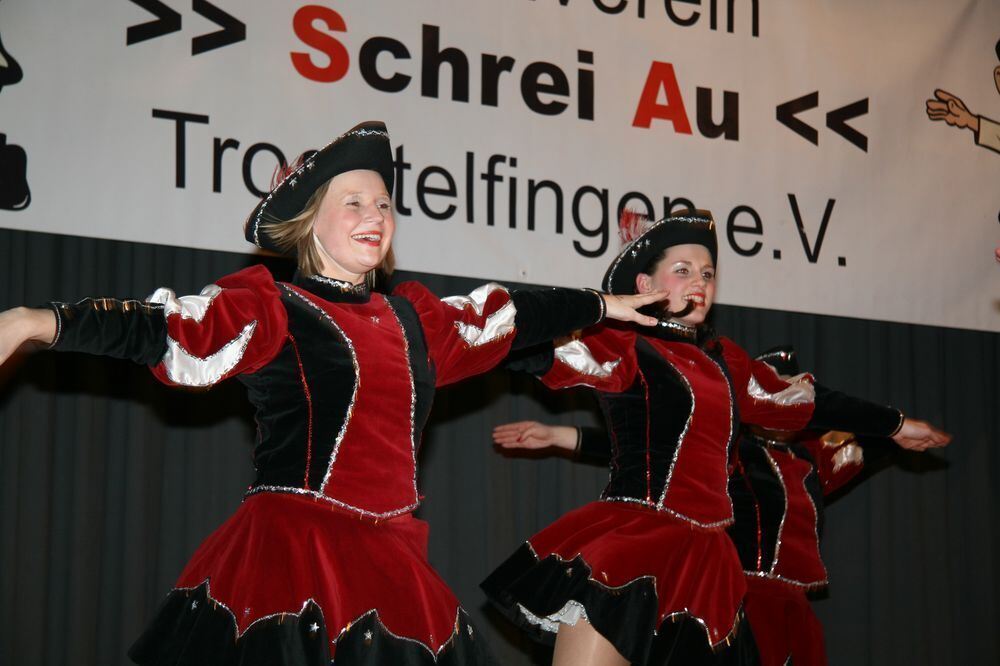 14. Preistanzen der Narrenzunft »Schrei Au« Trochtelfingen 2013