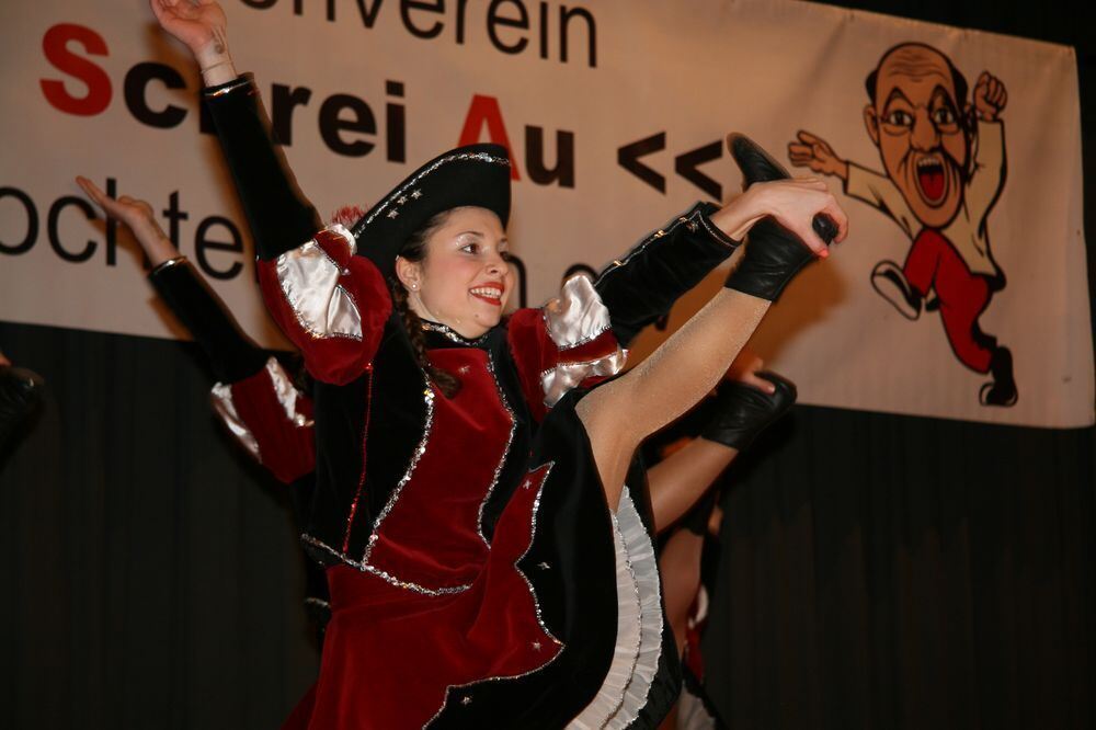 14. Preistanzen der Narrenzunft »Schrei Au« Trochtelfingen 2013