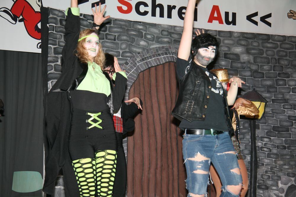 14. Preistanzen der Narrenzunft »Schrei Au« Trochtelfingen 2013