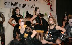 14. Preistanzen der Narrenzunft »Schrei Au« Trochtelfingen 2013