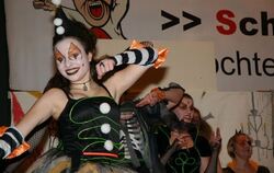 14. Preistanzen der Narrenzunft »Schrei Au« Trochtelfingen 2013