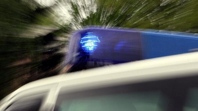 Das Blaulicht eines Polizei-Einsatzfahrzeuges. Foto: Marcus Führer/Illustration