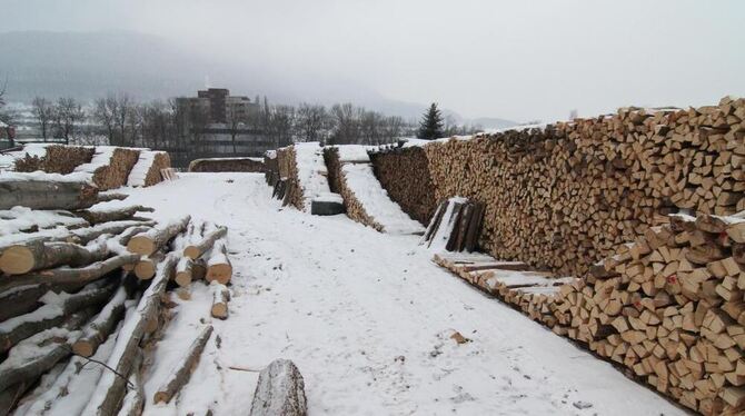 Hunderte von Festmetern: Auf Dettinger Markung lagert so viel Holz, das im Ort selbst kaum verbrannt werden kann. Und in solchen