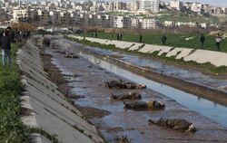 In einem kleinen Fluss in Aleppo wurden Dutzende Leichen gefunden. Foto: Thomas Rassloff